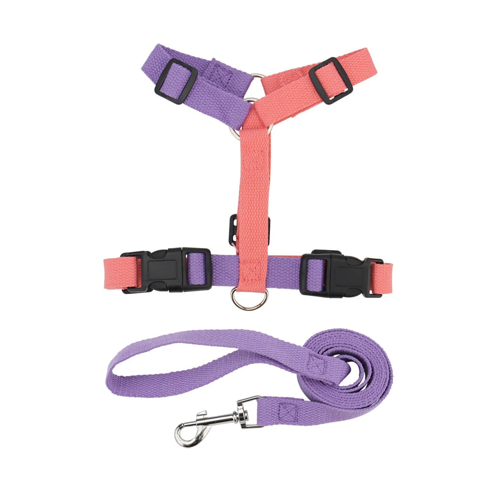 Velvet Adjustable Dog Harness