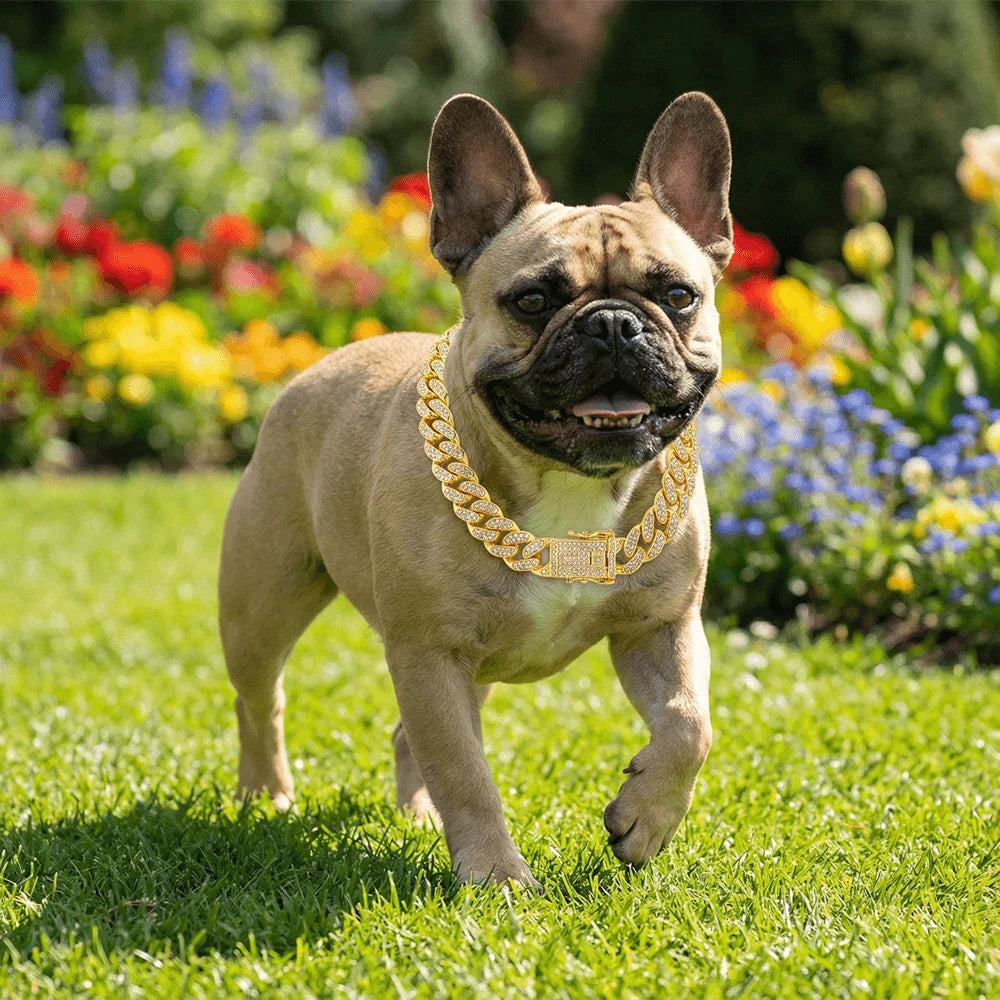 Velvet Cuban Chain Dog Collar — Gold Diamond Inlay Stainless Steel Luxury Collar | All Sizes
