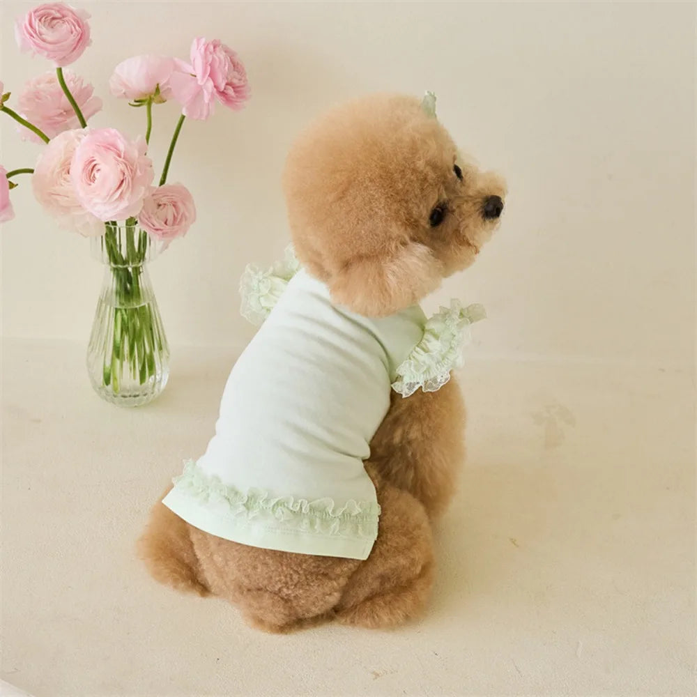 Velvet Pet Shirt — Soft Cotton Blend Casual Shirt for Small Dogs & Cats | Multiple Colors
