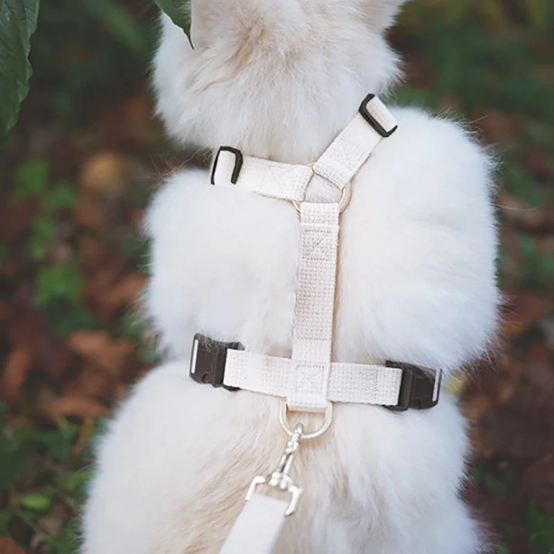 Velvet Adjustable Dog Harness