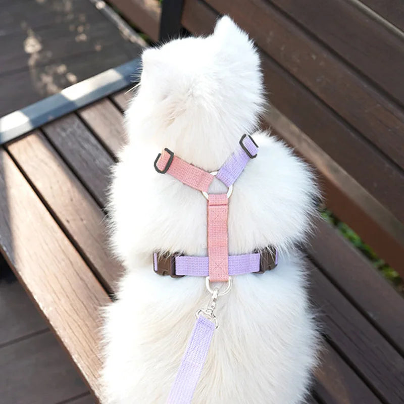 Velvet Adjustable Dog Harness