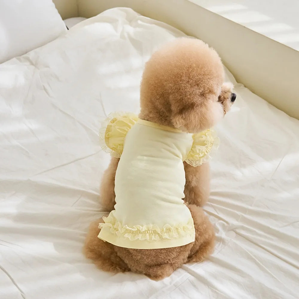 Velvet Pet Shirt — Soft Cotton Blend Casual Shirt for Small Dogs & Cats | Multiple Colors