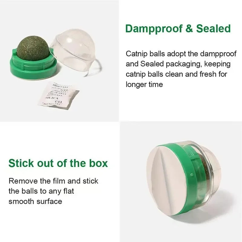 Velvet Catnip Wall Ball  Natural Stick-On Cat Toy for Stress Relief & Dental Health