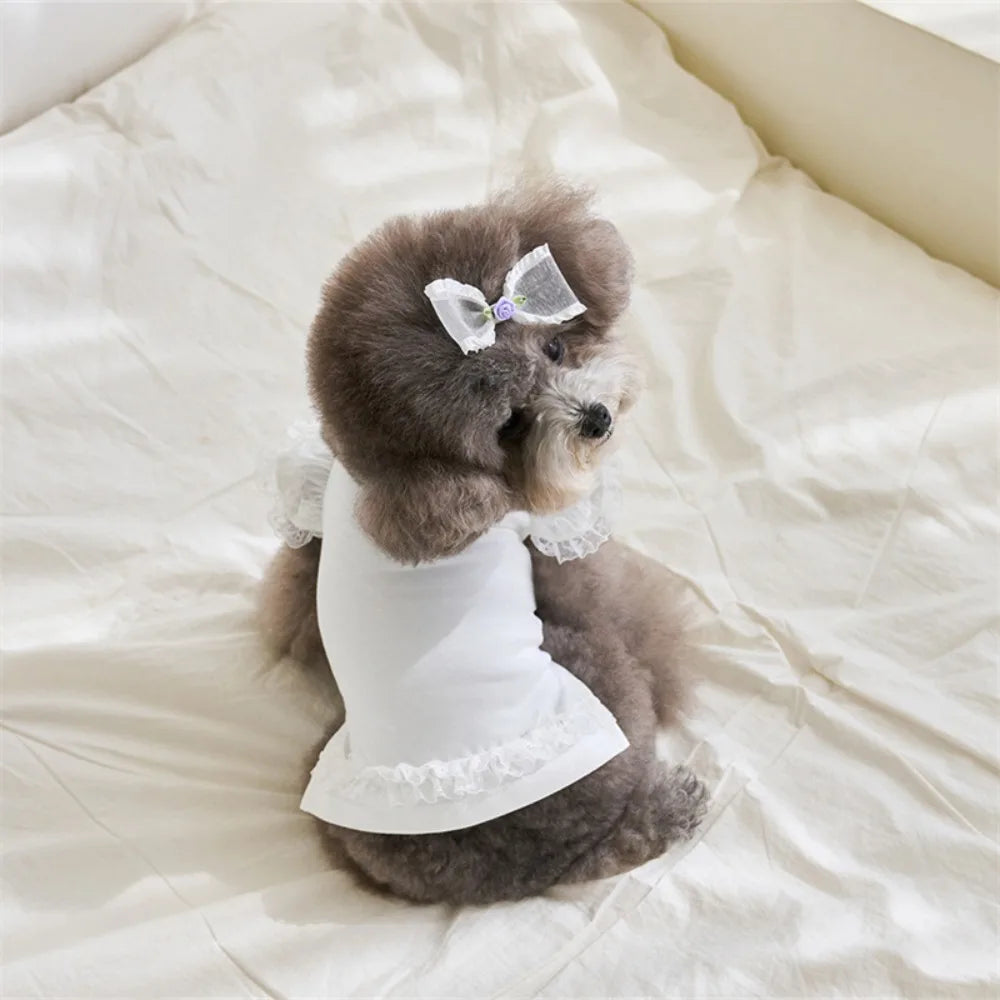 Velvet Pet Shirt — Soft Cotton Blend Casual Shirt for Small Dogs & Cats | Multiple Colors