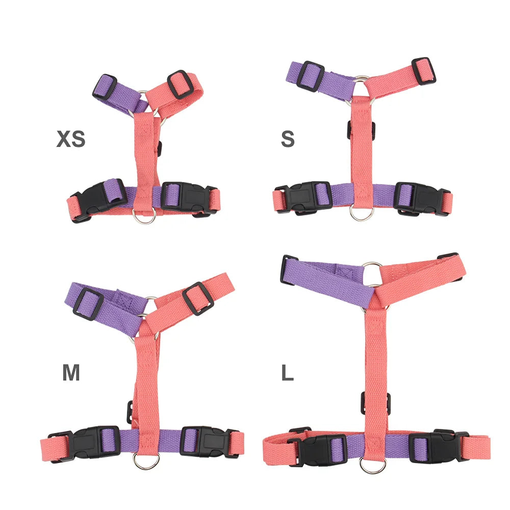 Velvet Adjustable Dog Harness