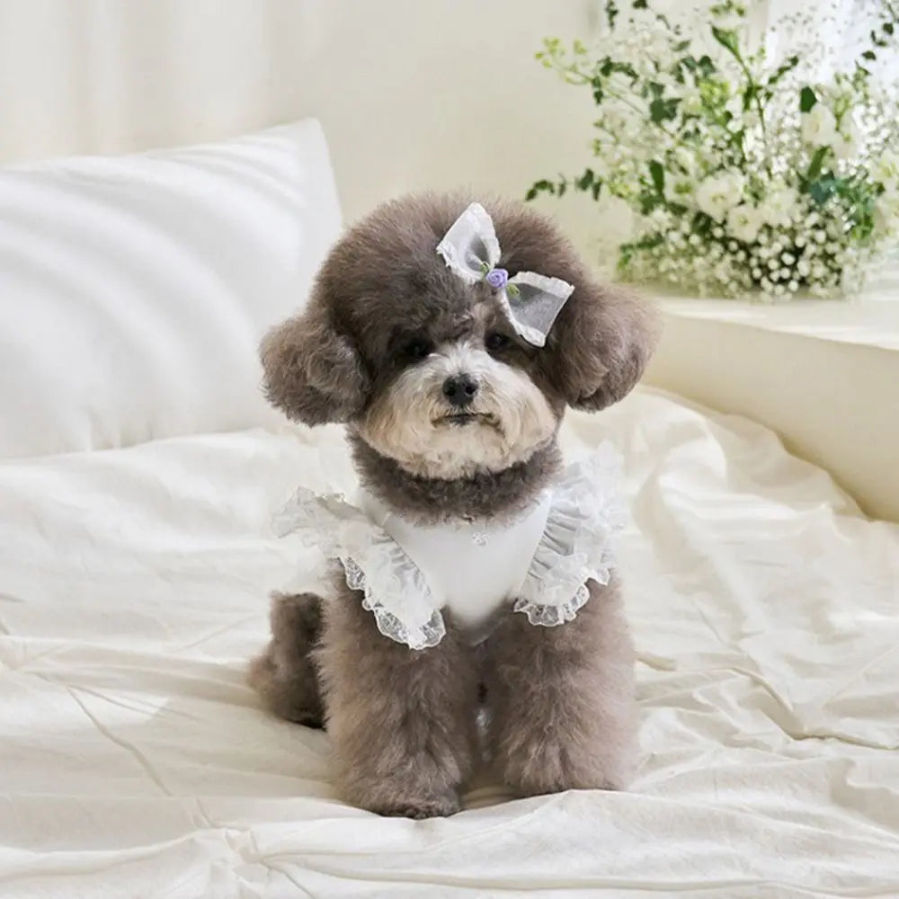 Velvet Pet Shirt — Soft Cotton Blend Casual Shirt for Small Dogs & Cats | Multiple Colors