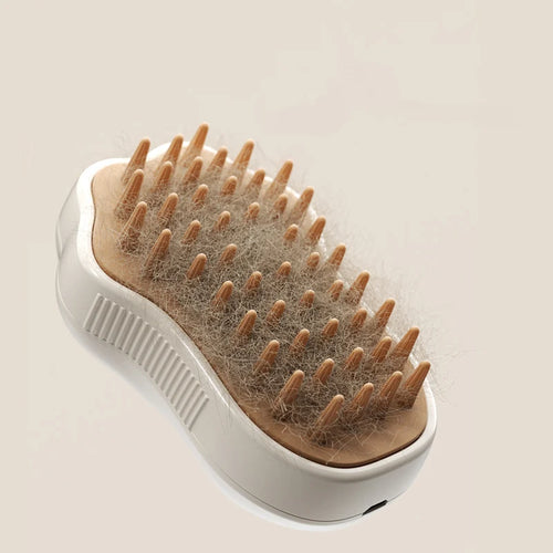 Steam Grooming Brush for Cats and Dogs