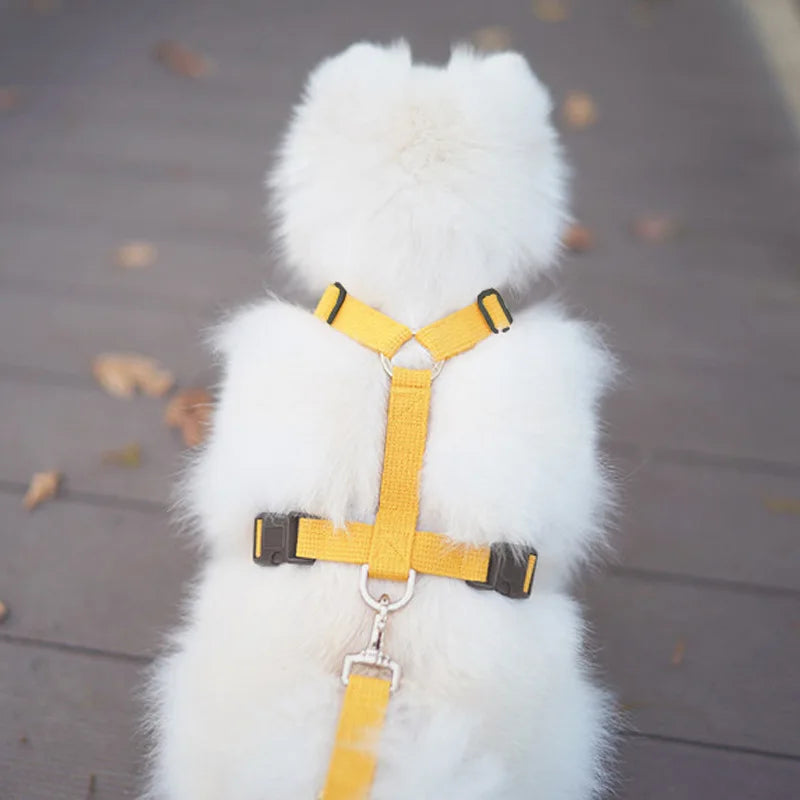 Velvet Adjustable Dog Harness
