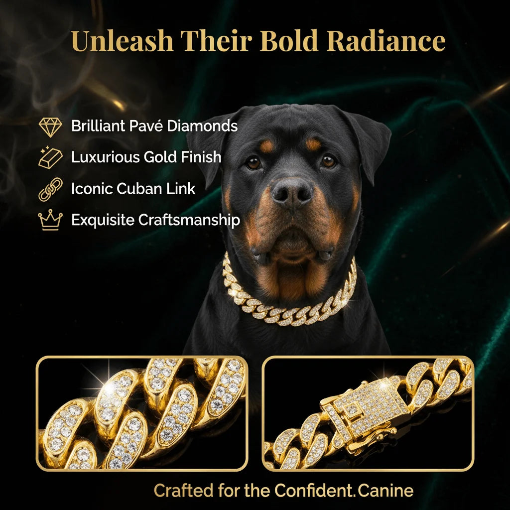 Velvet Cuban Chain Dog Collar — Gold Diamond Inlay Stainless Steel Luxury Collar | All Sizes