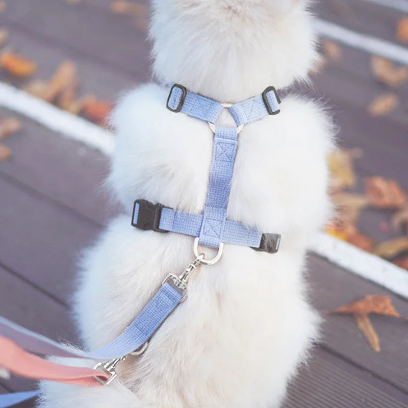 Velvet Adjustable Dog Harness